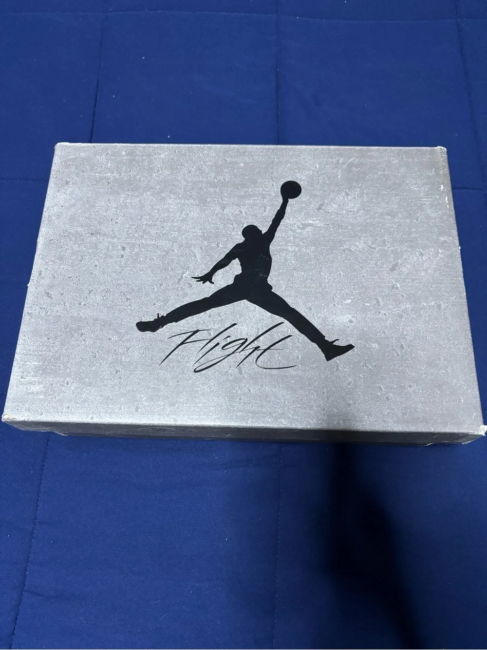 Jordan 4 Retro Cave Stone 2025 Size 10
